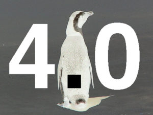 blog-google-penguin-update